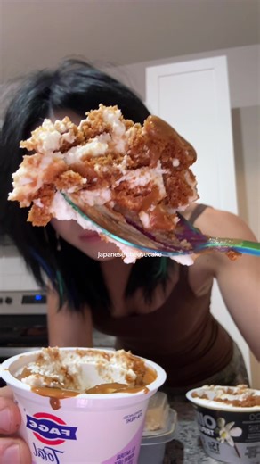 Is Japanese Yogurt Cheesecake Better Than Fluffy Yogurt?