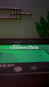 Belamere Suites Review