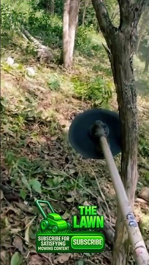 SMR Tree Cutting – Satisfying Wood Chopping Sounds 🌳🔪