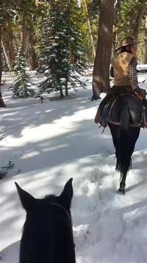 Wishing all a very joyous and glistening Christmas full of good cheer. And special treats for your mule! 🎄 | Bishop Mule Days Celebration