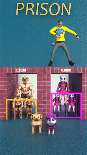 MR. BEAST DANCES WITH TWO TEAMS OF DOGS AND CATS. WHO WINS AND WHO LOSES?#dog #cat #funny #shots