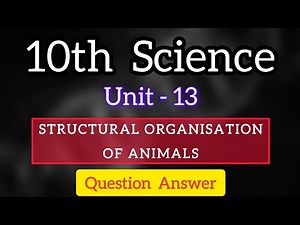 10th Science unit 13 Structural Organisation of Animal question answer Samacheer | learn the science