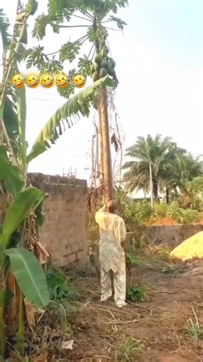 @lyrics_editzl_ on Instagram: "Delhi's air quality nears 'severe' level, pollution crosses 400-mark in 15 stations The 24-hour average Air Quality Index (AQI), reported at 4 pm every day, stood at 361 on Saturday. It worsened further to 372 at 6 pm. Delhi's air quality worsened on Saturday as pollution levels exceeded the 400-mark in many areas, making the national"