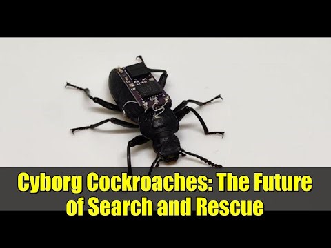Cyborg Cockroaches: The Future of Search and Rescue