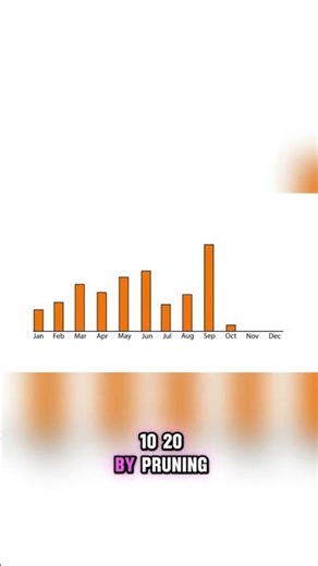 Protect Focus: Two Inbox Windows 📥⏳