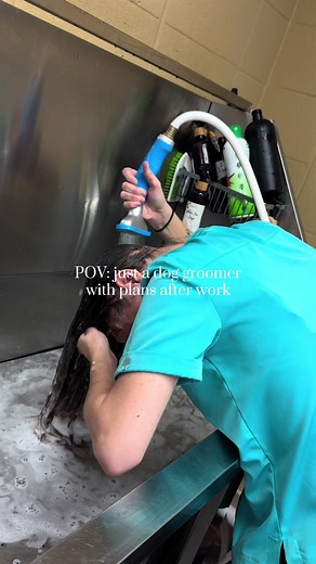Dog Grooming Preparation: A Hilarious POV
