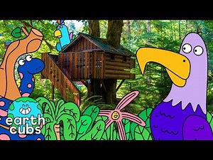 Grab your hammer - let's build a treehouse! 🛠️