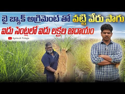 Vetiver Farming Profits | AgriTech Telugu