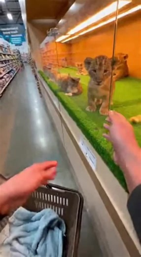 Videos de Rocket Media (@rocketmedia7) con “sonido original - Rocket Media”