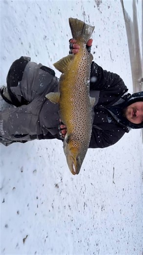 Nick Vandy on Instagram: "The last open water fish of the season. WINTER IS COMING!! #fishing #fish #outdoors #outdoorlife #wisconsin"