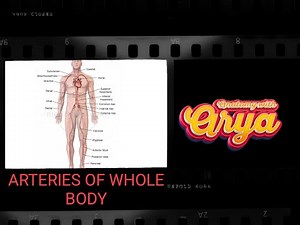 ARTERIES OF WHOLE BODY / ANATOMY /IN TAMIL