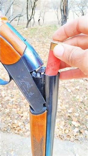 Best Shotgun 12 gauge For Hunting Deer