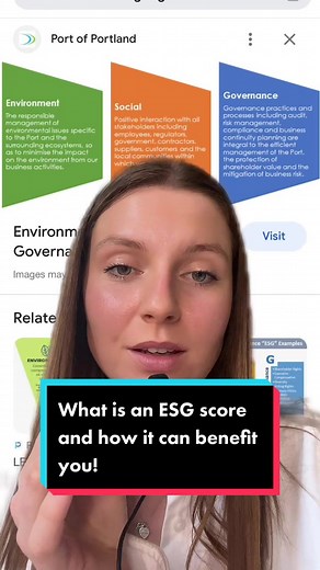 Understanding ESG Scores: Benefits & Insights | EveryBitHelps.io