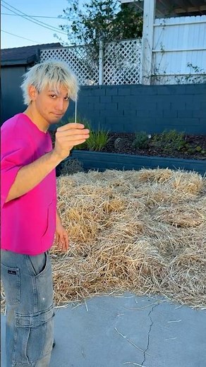 Can You Find A Needle In A Haystack? (HARD) 😟