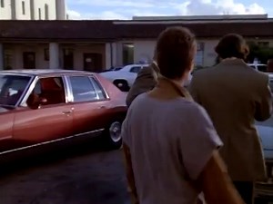 Egyszemélyes hadsereg (1979)