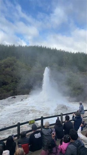 Lady Knox Geyser #ladyknox #geyser #geothermalwonders #newzealand #rotorua #touristspot