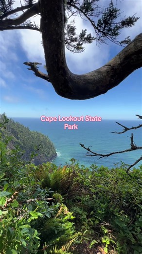 Adventure out to the Oregon Coast for a breath of fresh air and coastal views that won’t disappoint🌊 #portland #oregoncoast #pacificnorthwest #hiking #ocean #pdx #travelportland