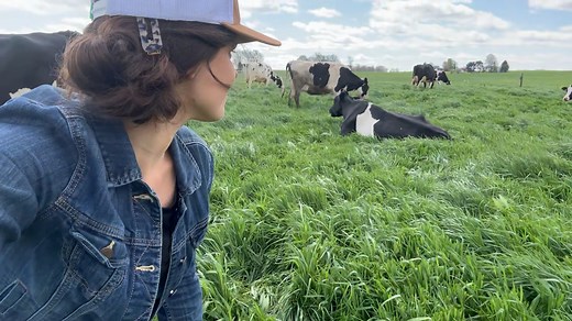 11K views · 112 reactions | Q: Do cows sleep standing up or laying down?  A: Cows must lie down to sleep. While they can stand during non-REM sleep, they achieve REM sleep only while lying down. Learn more fun facts about snoozing cows here: https://www.organicvalley.coop/blog/all-about-sleeping-cows/?utm_medium=organicsocial&utm_source=facebook | Organic Valley | Facebook