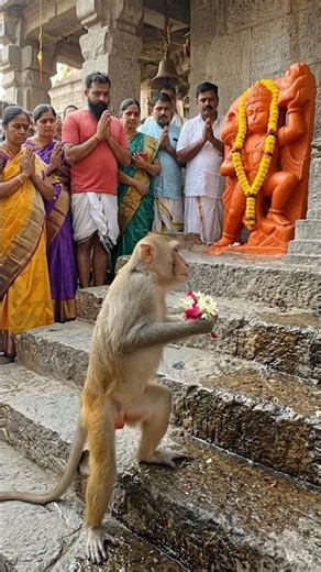 भक्ति करेगा बड़ा ही सुख पाएगा 🙏#hanuman​ #trending​ #shorts​ #hanumanji​ #ytshorts​ #viral​ #balaji​