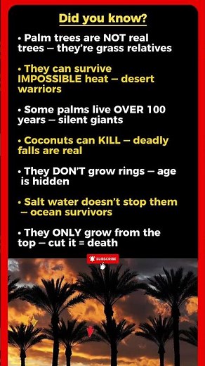 Facts About Palm Trees That Nobody Talks About!🌴🔥