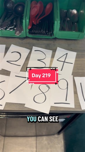 Systems Engineering: Day 219 of the Learning Journey
