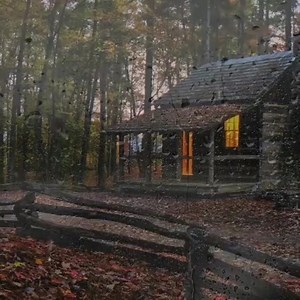 90K views · 10K reactions | It's a beautiful scene I love this situation  | My Log Cabin | Facebook
