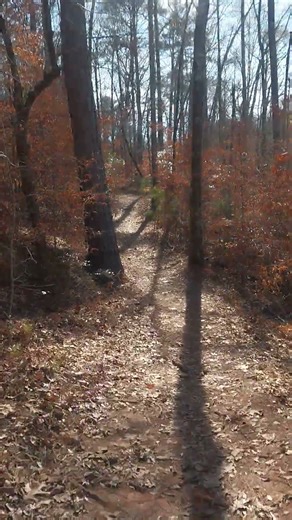 Hiking Indian Springs State Park trail into Dauset Trails. Total Hike in and out 9 miles in 3 hours.