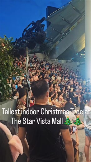 Singapore's biggest Christmas tree for the 2025. It's a 23-meter-tall indoor tree at The Star Vista mall. | Lian Fam