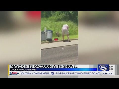 Raccoon beating: Video shows Atmore mayor hitting it with a shovel