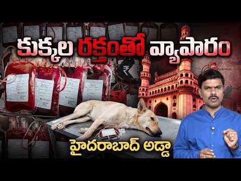 Dog Blood Scam EXPOSED 🐶💔 | Shocking Truth from Hyderabad Streets | SumanTv Vijay