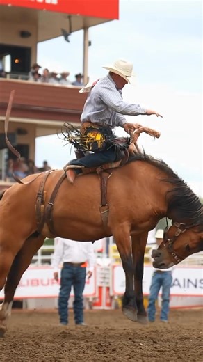 633 reactions · 85 shares | The Cinch Australian International Bronc Match is back. It’s going to be bigger and better than last year, located at the prestigious Warwick Campdraft and Rodeo on the 25th of October. Get ready for worldwide talent, you do not want to miss it.  Monday 20 – Sunday 26 October  Warwick Showgrounds ️ Tickets on sale now — round up the family and we’ll see you ringside! https://bit.ly/wsrsrodeo25 | Warwick Show and Rodeo Society Inc | Facebook
