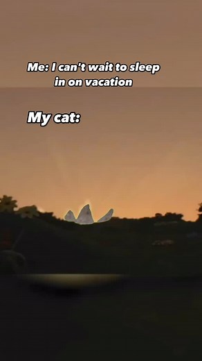 7.7K reactions · 1.6K shares | I will never sleep in  #meowed #catmom #catlife | purrfectinfluencer | Facebook