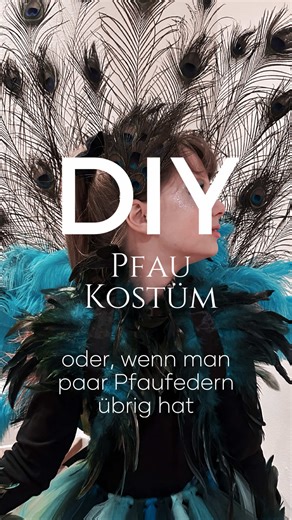 Creative DIY Carnival Peacock Costume Ideas