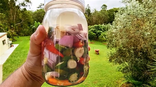 5-month fermented hot sauce: Surprising health benefits & tasting test!