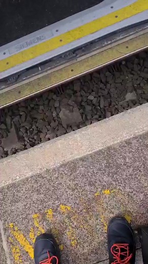 5.5K views · 75 reactions | Talyllyn Railway on Reels | Facebook