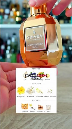 One of the best women’s perfumes I’ve smelled, genuinely. Gisada Ambassadora Gold #perfume #parfum