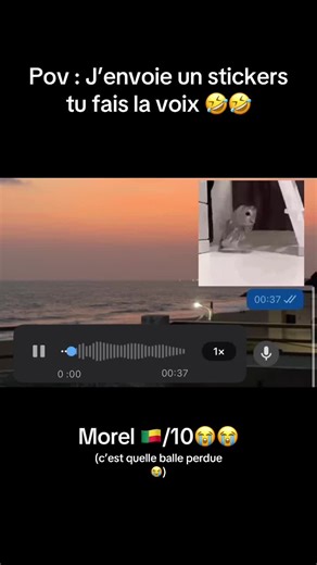 @🥭 @𝐓𝐨𝐥𝐚🫧🇧🇯🇳🇬 @__querrida__ @Jeanchristgnh7 @bradley.akplg @Olyn @Imbs_lryn__ @𝐊𝐞𝐧𝐳𝐚 💋🇧🇯 @𝓗. #fyp #pourtoi #trend