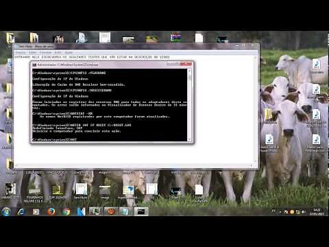 Como arrumar o IPv6 e o Gateway padrão que não esta funcionando