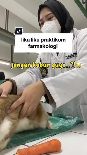 keriwehan me n my fwens 😃#fyp #praktikumfarmasi #praktikumfarmakologi #praktikumhewan #farmakologi #fakultasfarmasi #ffup #universitaspancasila #CapCut @𝐂𝐢𝐧𝐭𝐚