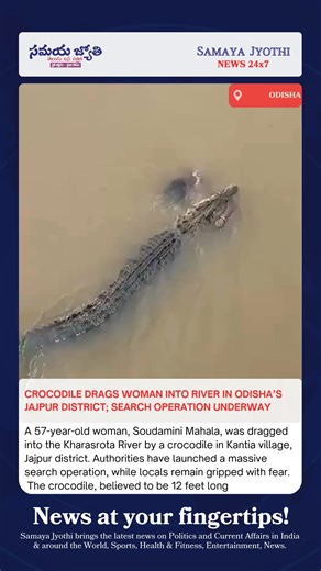 Samaya Jyothi on Instagram: "A horrifying incident in Odisha’s Jajpur district has left villagers in shock after a 57-year-old woman was dragged into a river by a crocodile on Monday. The victim, identified as Soudamini Mahala, was taking a bath in the Kharasrota River near Kantia village when the reptile suddenly attacked her. According to eyewitnesses, the 12-foot-long crocodile emerged from the water and pulled Mahala into the river, leaving bystanders helpless. Locals immediately alerted aut