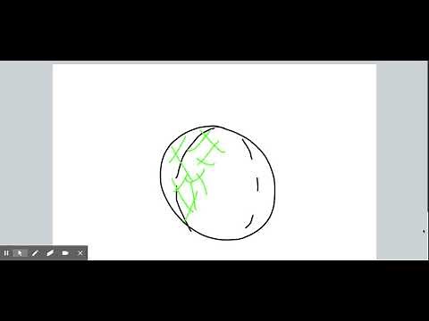 The Cell Cortex - Review