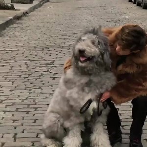 1.2M views · 17K reactions | To those still unacquainted with the...