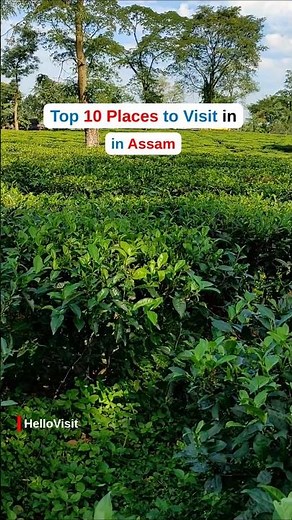 Top 10 Places to Visit in Assam | Best Tourist Attractions & Travel Guide 2026