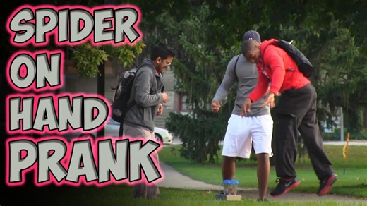 Spider on hand prank that gets quick natural jumps