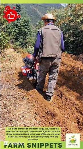 Ginger Farming Made Smart: From Trenches to Growth 🌱🚜