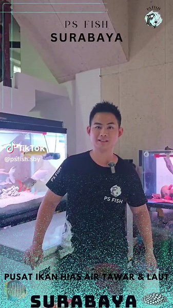 WELCOME TO PS FISH! Siap membuat aquarium kamu lebih menawan? Kenalan dengan Lampu Pro Red Evo 11 yang punya 11 warna menarik! 💡✨ Lampu ini dirancang khusus untuk memberikan pencahayaan optimal yang bikin warna ikan dan tanaman kamu lebih hidup. Dengan berbagai pilihan warna, Pro Red Evo 11 bukan hanya mempercantik tampilan aquarium, tapi juga menciptakan suasana yang lebih cerah dan menarik. Segera dapatkan Lampu Pro Red Evo 11 di PS Fish dan jadikan aquarium kamu lebih istimewa! Temukan berba