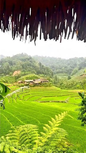 Can you guess where it is? 🌿✨ #travelling #nature #beautifuldestinations #rain #peace