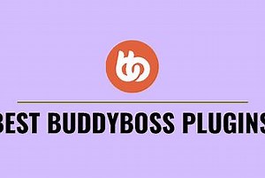 6 Best BuddyBoss Plugins for Online Communities in 2022 - Paperblog