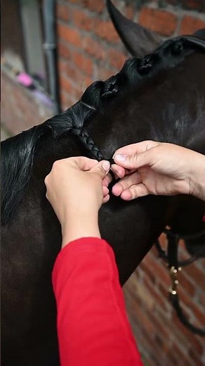 How To Plait A Horse