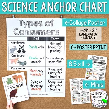 Types of Consumers Science Anchor Chart (Poster, Collage, Mini Print)